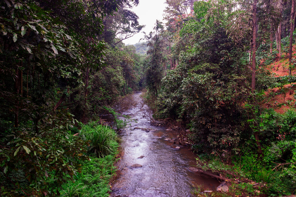 Photo of Abbi Falls, Hebbettageri, Karnataka, India by Aayush Mittal