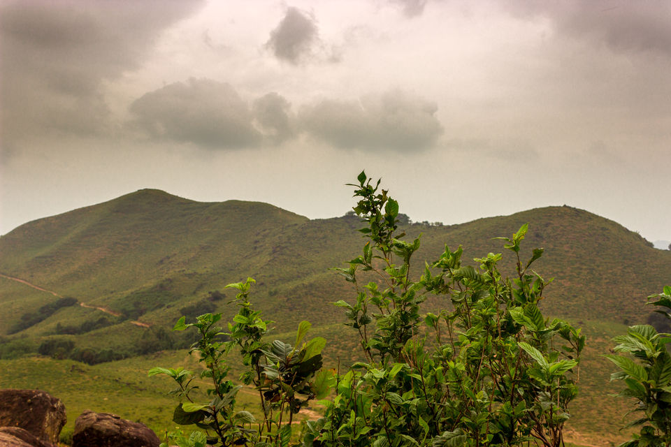 Photo of Mandalpatti, Hammiyala, Karnataka, India by Aayush Mittal