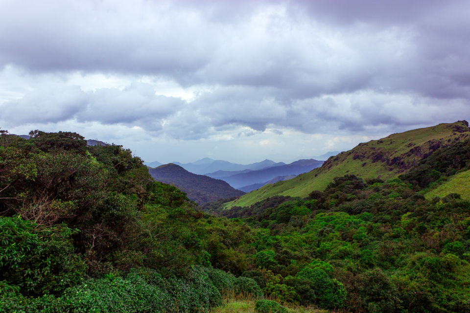 Photo of COORG...The SCOTLAND of INDIA by Aayush Mittal