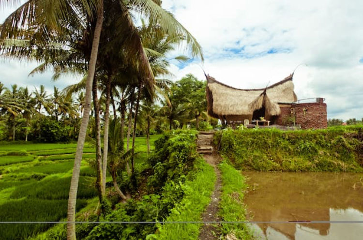 Photo of 5 Airbnb Properties In Bali That Are Goals And Are At A Budget by Aishwarya Jain