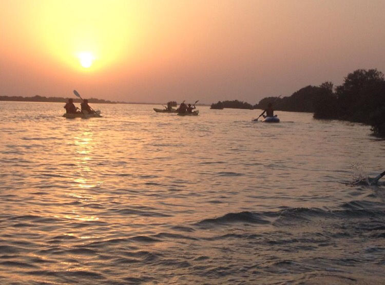 Photo of Al Thakira Mangroves Forest END, Al Khor, Qatar by Rashmi Shetty