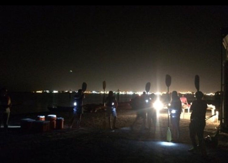Photo of Al Thakira Mangroves Forest END, Al Khor, Qatar by Rashmi Shetty