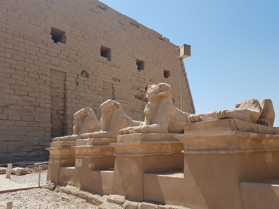 Photo of Egypt.... Where it all begins. by Rashmi Shetty
