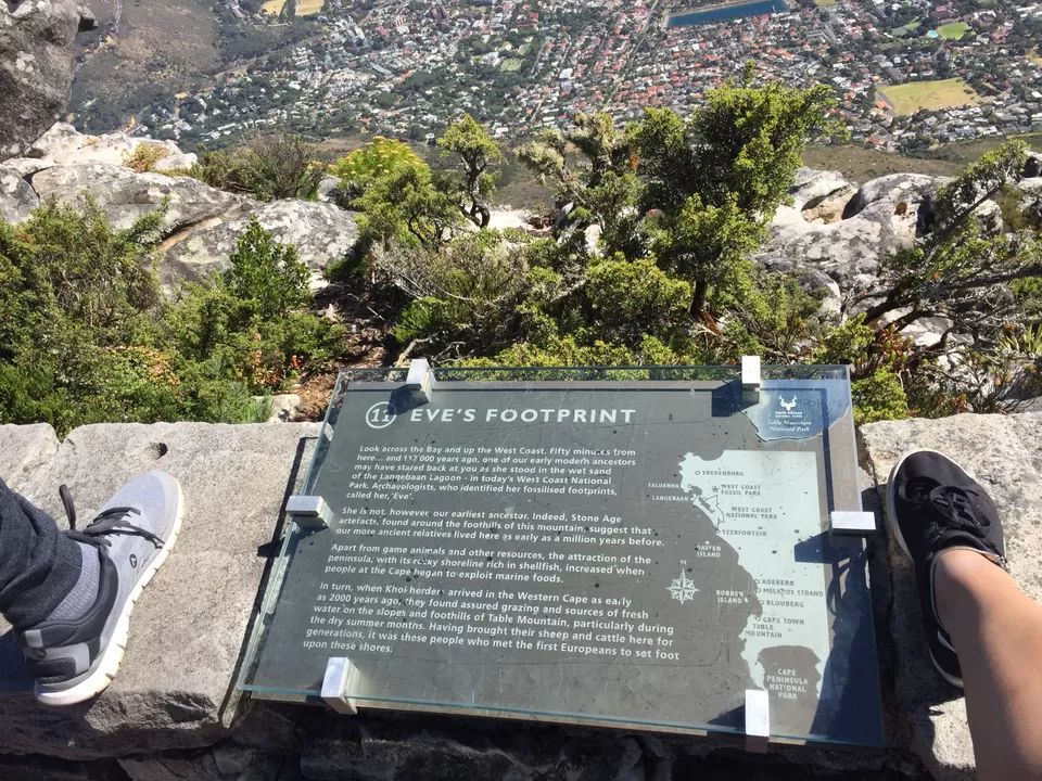 Photo of Table Mountain, Cape Town, Western Cape, South Africa by Rashmi Shetty