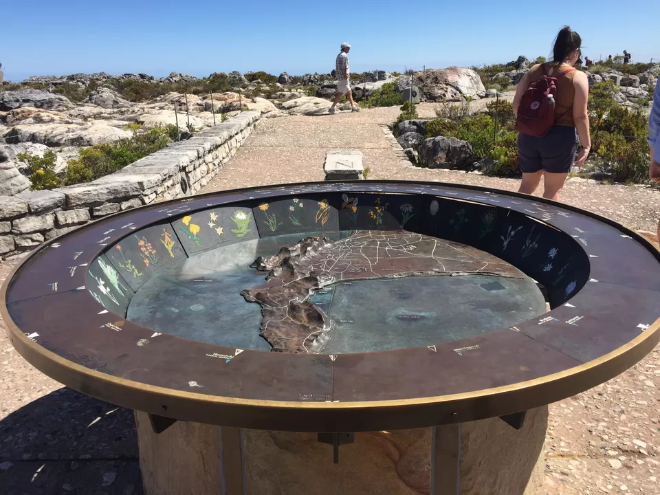 Photo of Table Mountain, Cape Town, Western Cape, South Africa by Rashmi Shetty