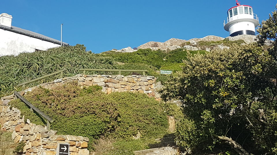 Photo of Cape Point, Cape Town, Western Cape, South Africa by Rashmi Shetty