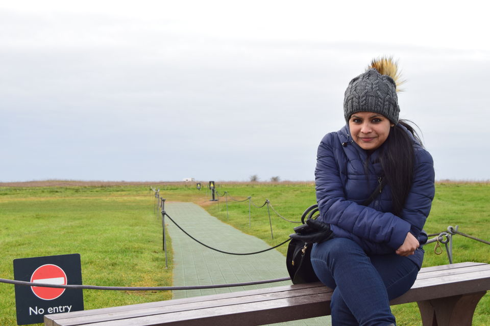 Photo of Stonehenge— Unraveling the Architectural Mystery. by Rashmi Shetty