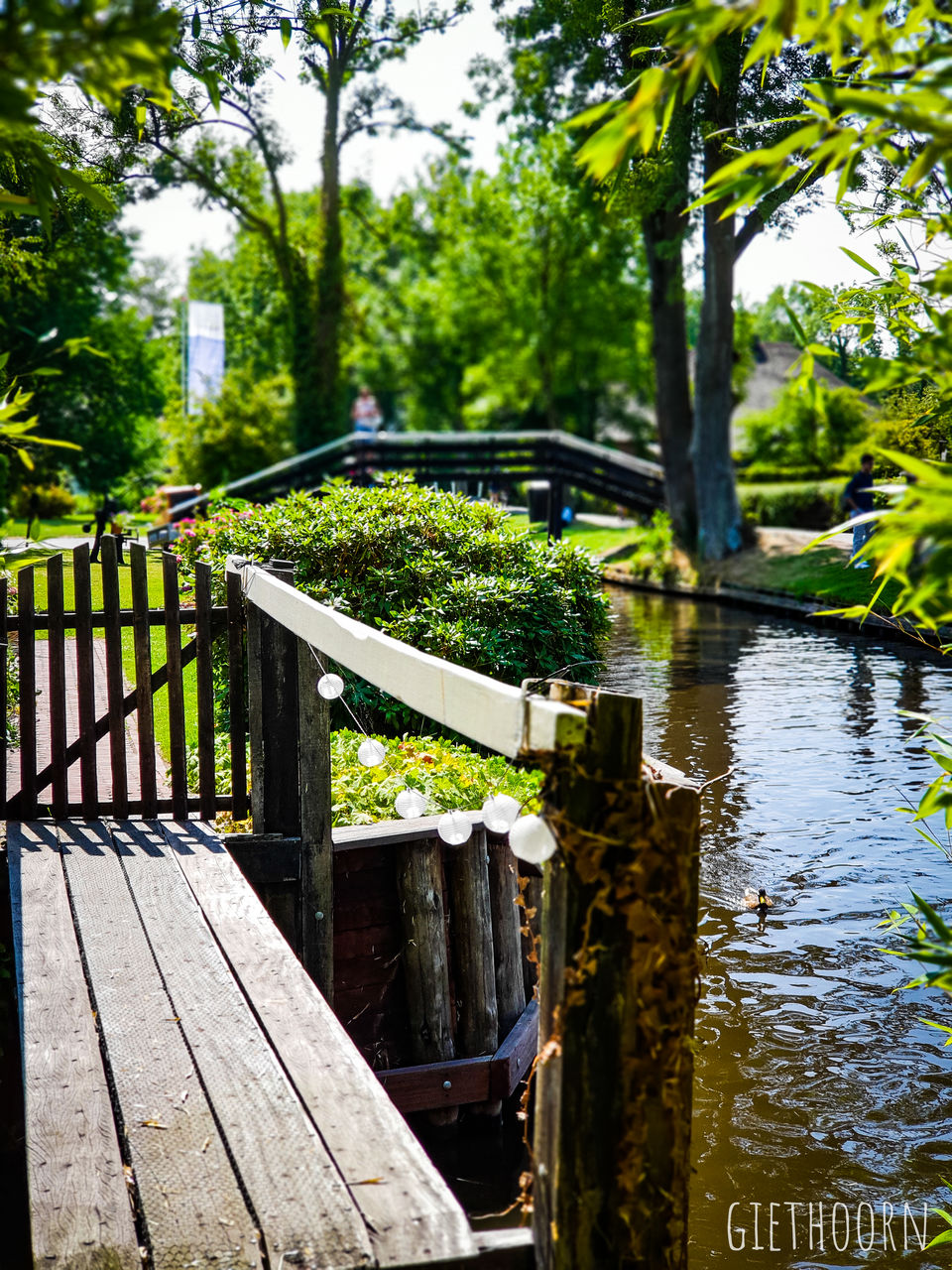 Photo of Giethoorn- The Dutch Venice (Venice Of The North) by Rashmi Shetty