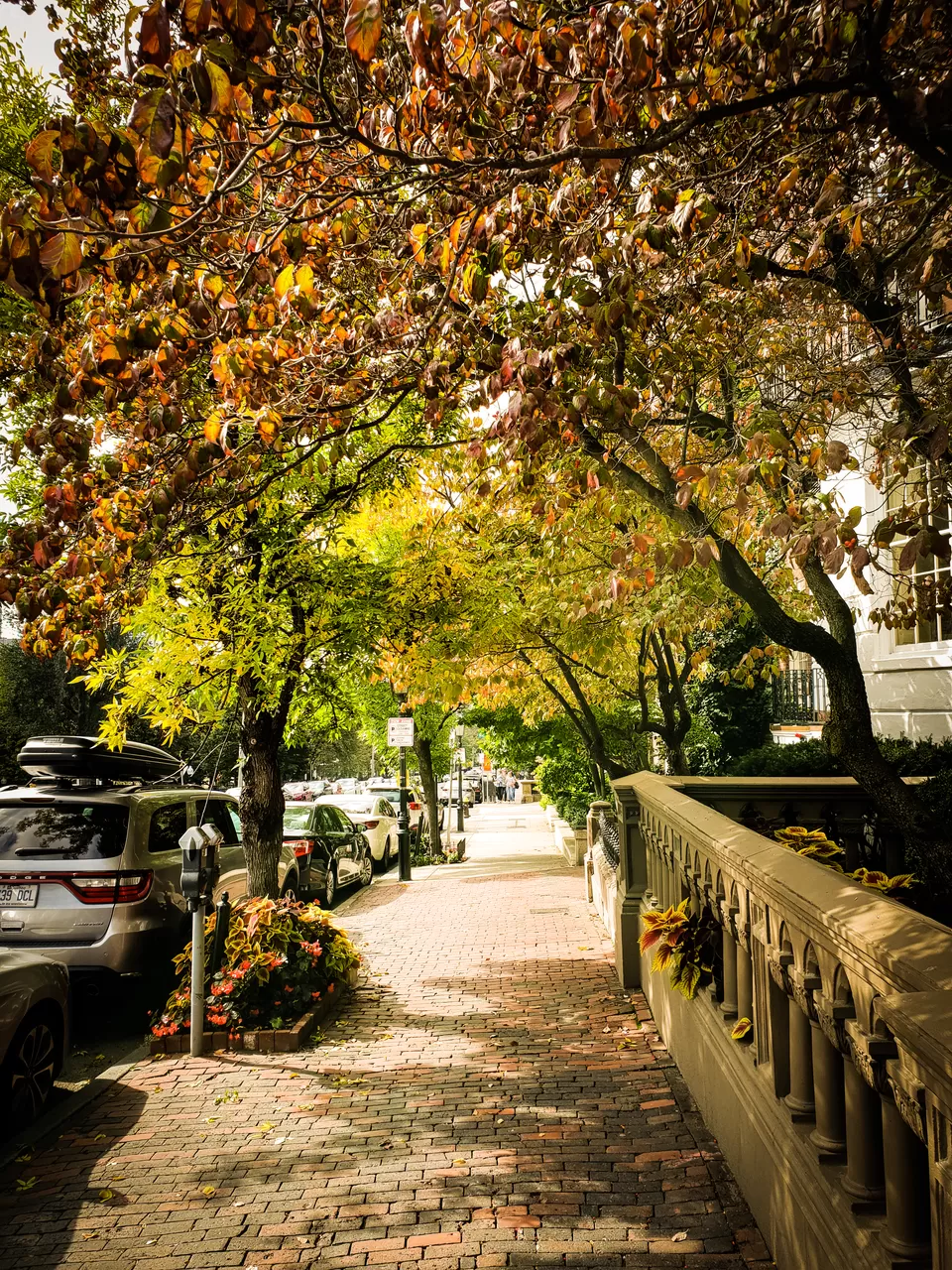 Photo of Beacon Hill, Boston, MA, USA by Rashmi Shetty