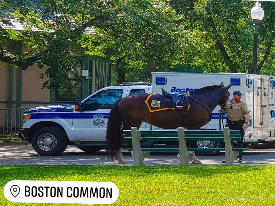 Photo of Boston: The epicenter of American revolution. #travelguideUSA by Rashmi Shetty