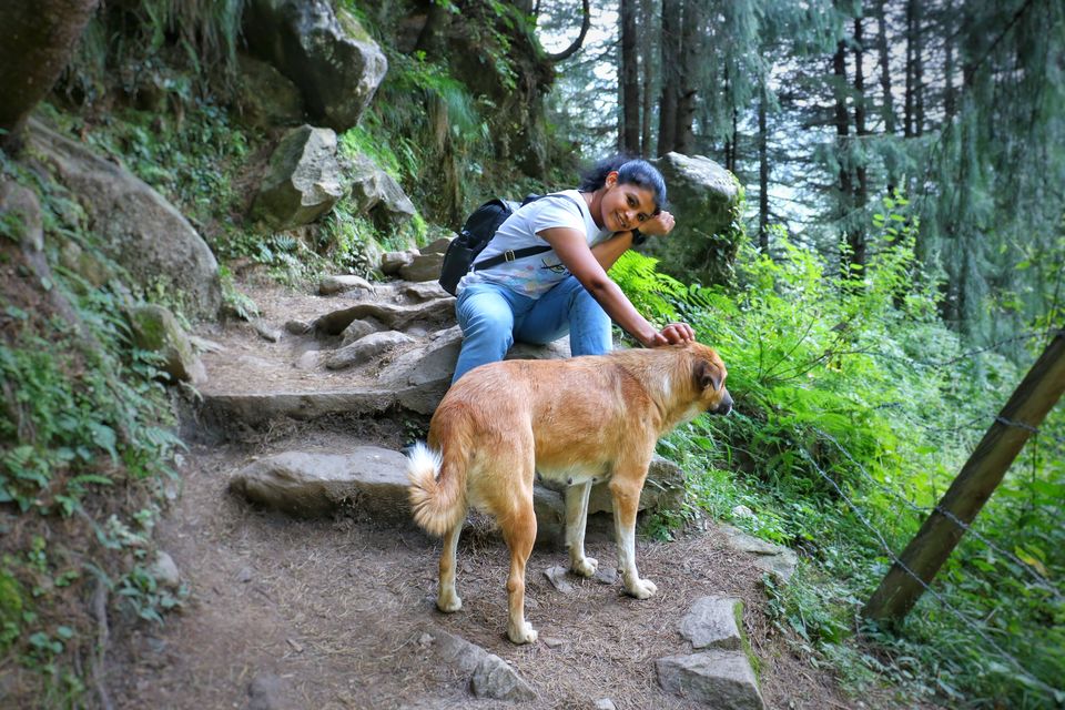 Photo of Jogini Falls, Vashist, Himachal Pradesh, India by Rashmi Shetty