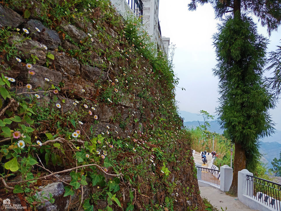 Photo of Kurseong, West Bengal, India by Tiara Dhar