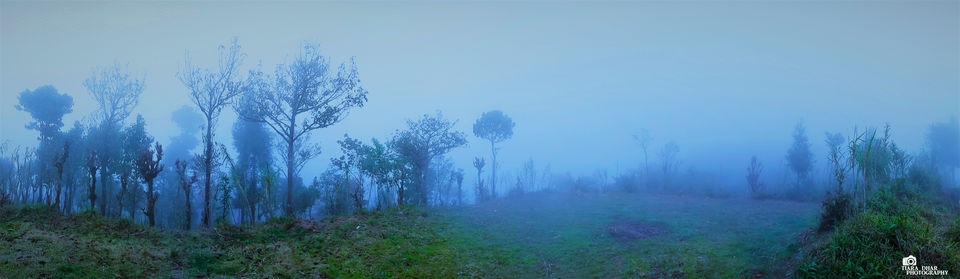 Photo of Kurseong, West Bengal, India by Tiara Dhar