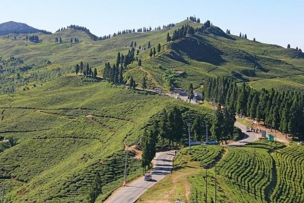 Photo of Kanyam, Eastern Region, Nepal by Eleutheromaniac