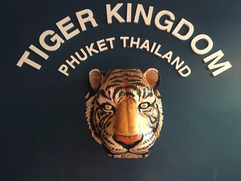 Photo of Tiger Kingdom Phuket ตำบล กะทู้ Пхукет Таиланд by Eleutheromaniac