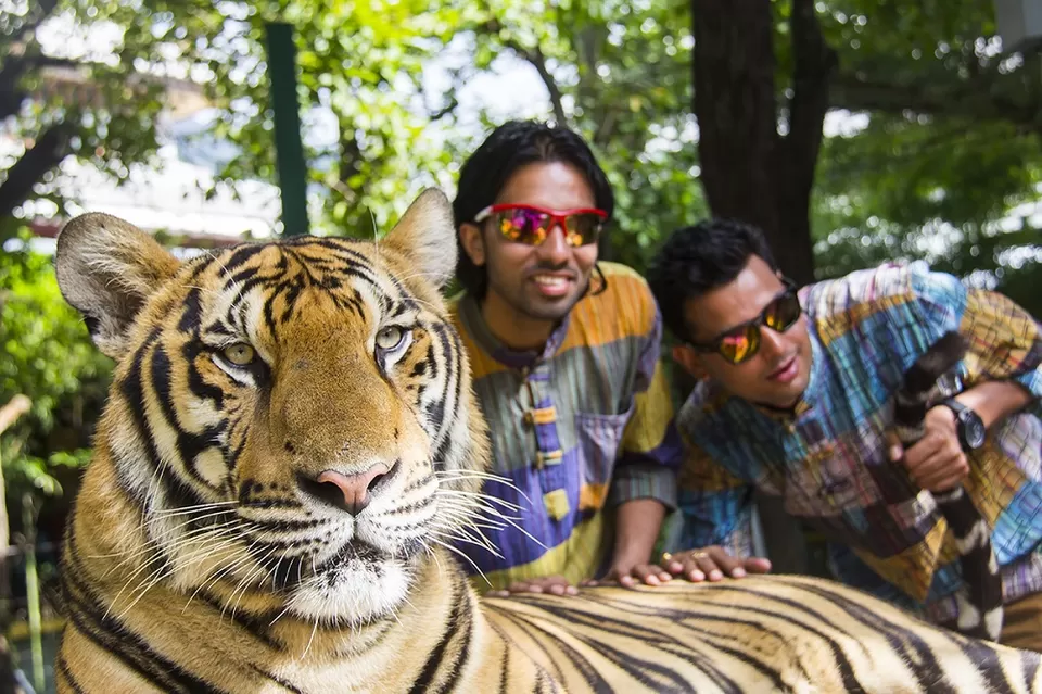 Photo of Tiger Kingdom Phuket ตำบล กะทู้ Пхукет Таиланд by Eleutheromaniac