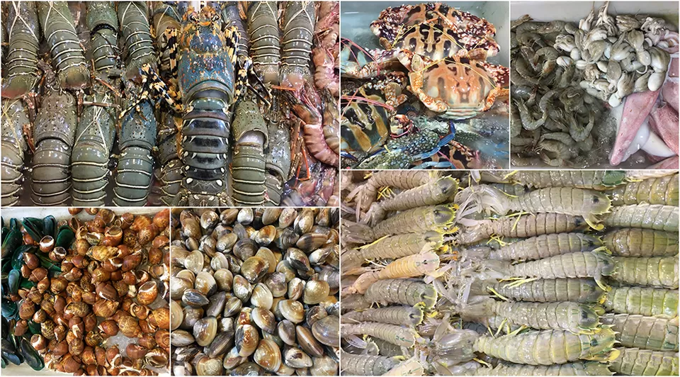 Photo of Patong Beach Patong Phuket Thailand by Eleutheromaniac