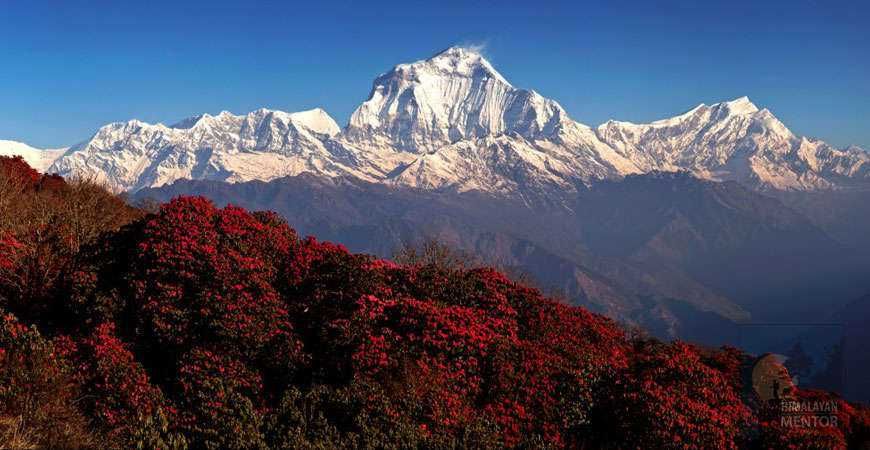 Photo of EXPLORE THE BEST HILL STATIONS IN NEPAL by Eleutheromaniac
