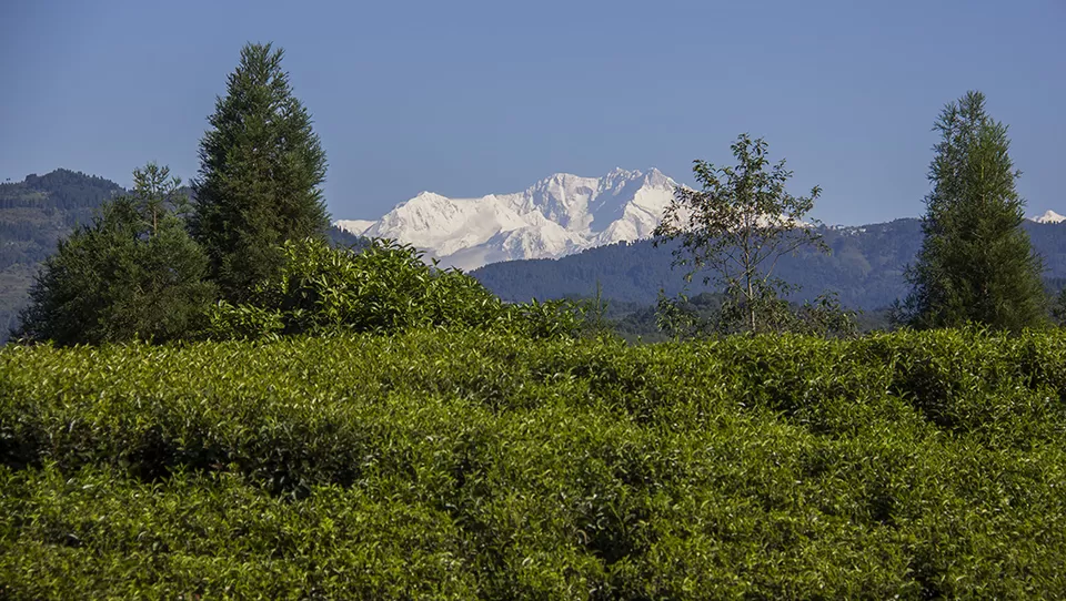 Photo of Shree Antu, Eastern Region, Nepal by Eleutheromaniac