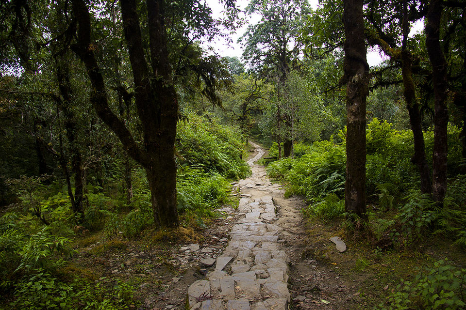 Photo of Pothana, Dhampus, Nepal by Eleutheromaniac