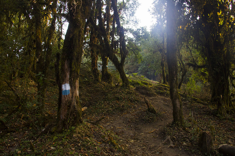 Photo of Enchanting Mardi - a hidden gem... by Eleutheromaniac