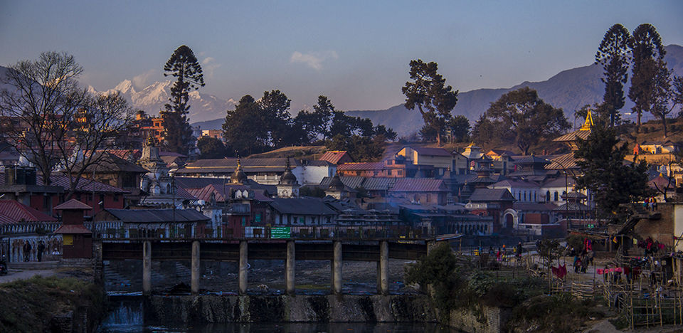Photo of This Shivaratri - Visit Pashupatinath Temple by Eleutheromaniac