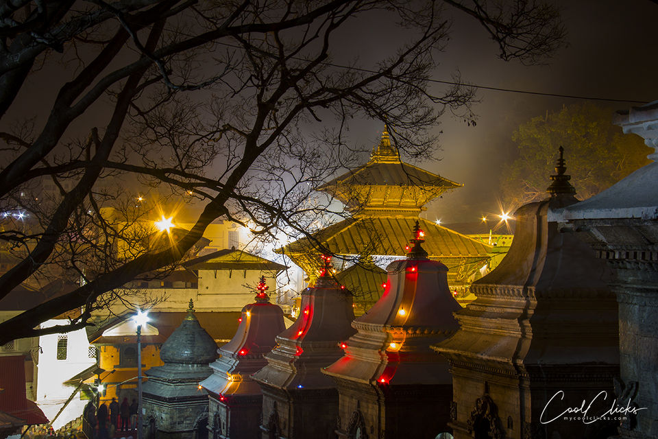 Photo of This Shivaratri - Visit Pashupatinath Temple by Eleutheromaniac