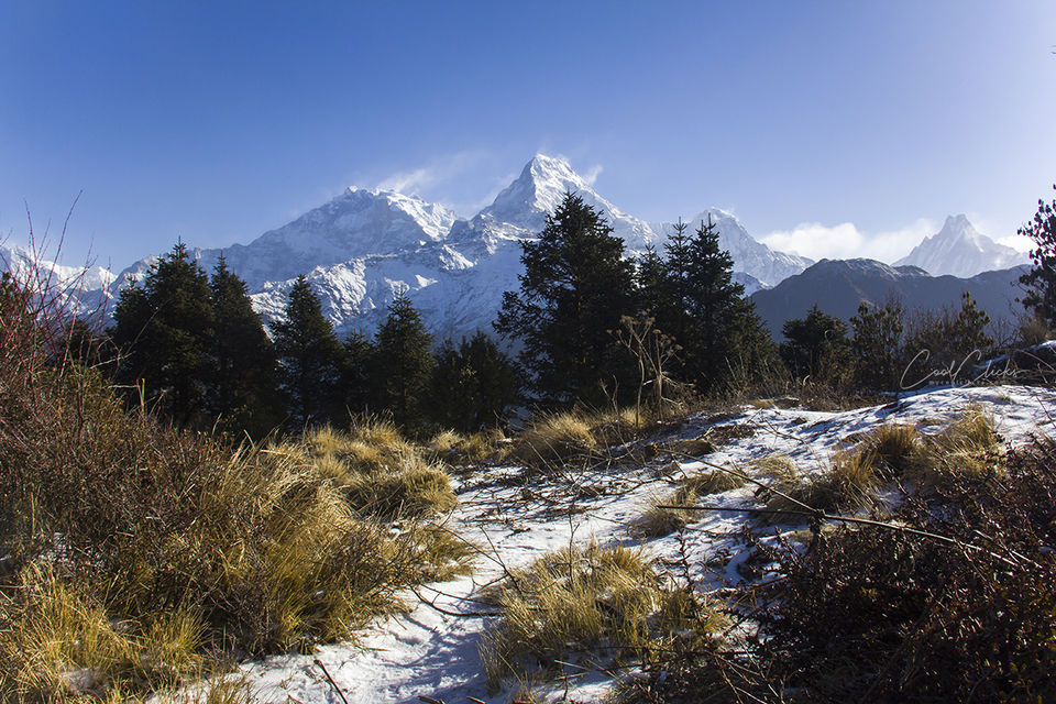 Photo of A photo trip to Poonhill, Nepal by Eleutheromaniac