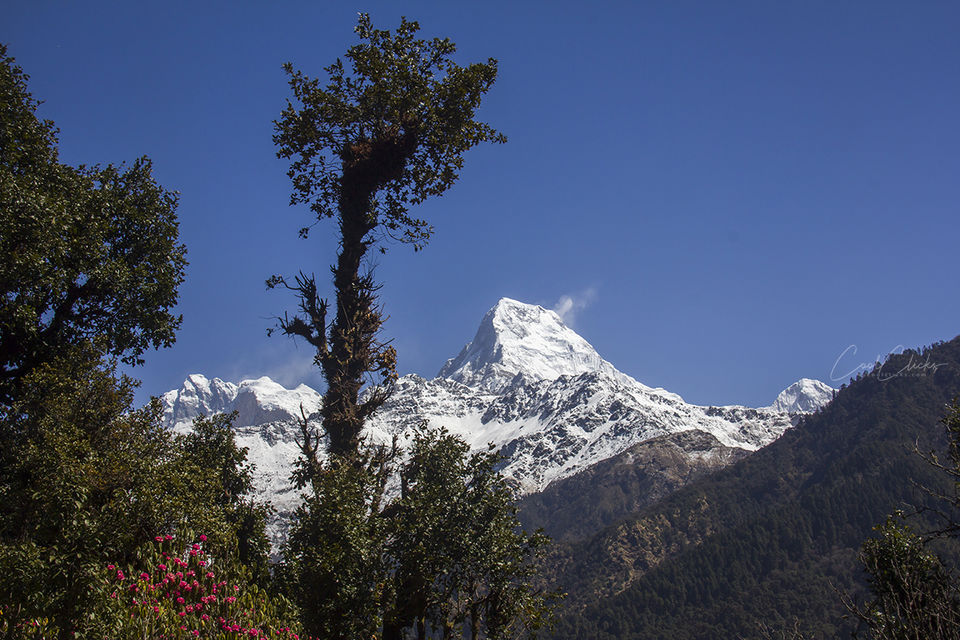 Photo of A photo trip to Poonhill, Nepal by Eleutheromaniac
