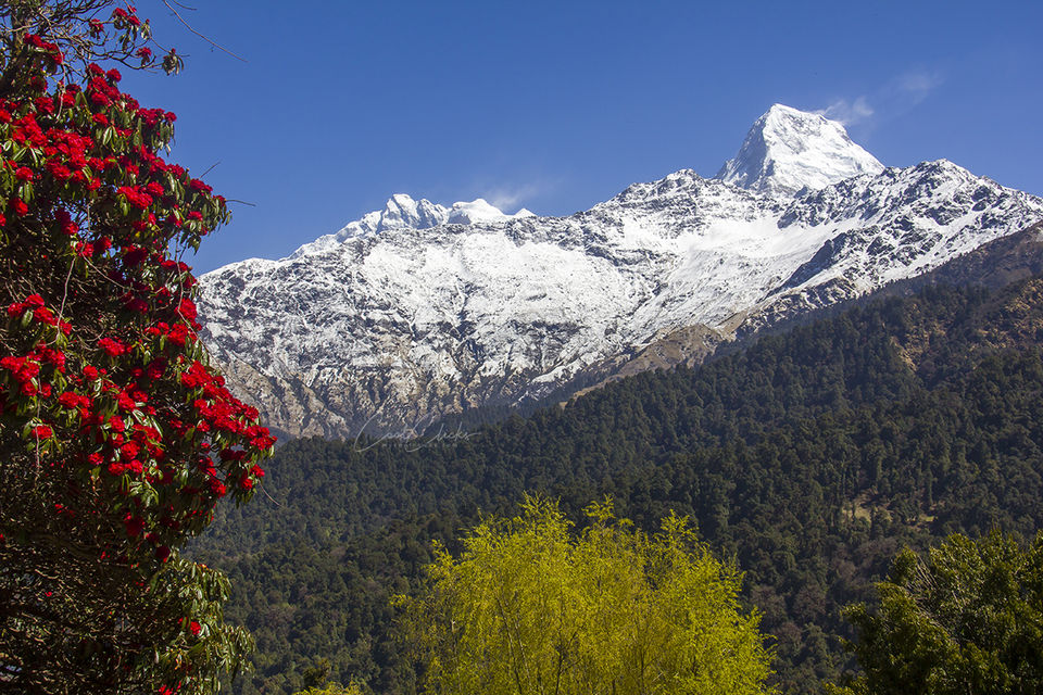 Photo of A photo trip to Poonhill, Nepal by Eleutheromaniac