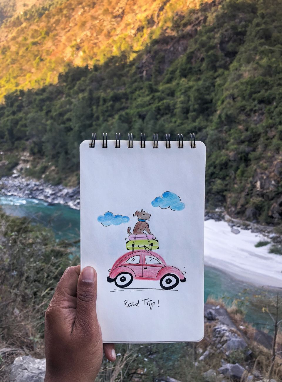 Photo of Troy goes on a road trip ! #TravelWithPets by Nmrtä Patel