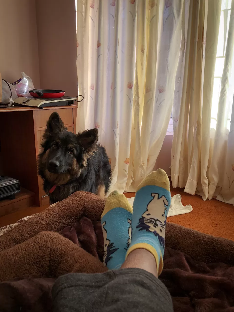 Photo of Auli Laga Joshimath, Uttarakhand, India by Nmrtä Patel