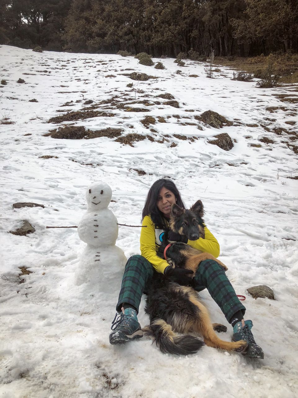 Photo of Troy goes on a road trip ! #TravelWithPets by Nmrtä Patel