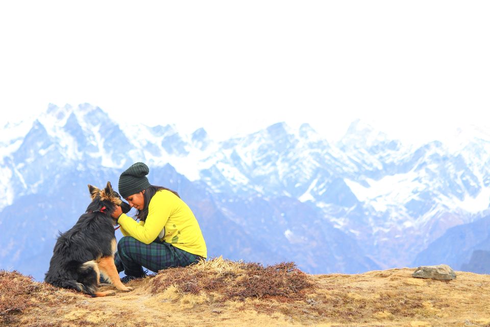 Photo of Troy goes on a road trip ! #TravelWithPets by Nmrtä Patel