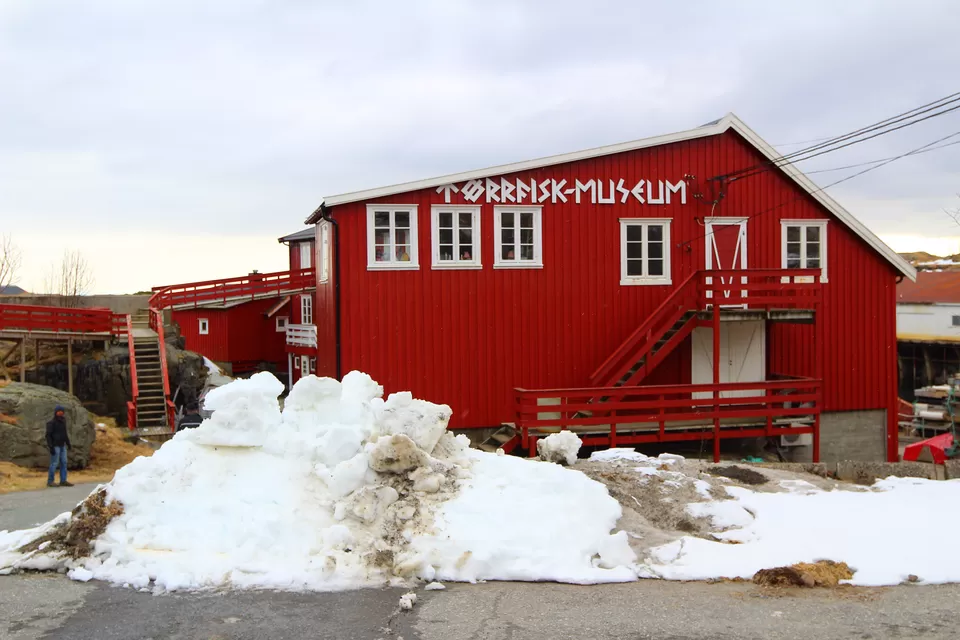 Photo of 8 reasons why the Lofoten Islands should be on your bucket list !! by Nmrtä Patel