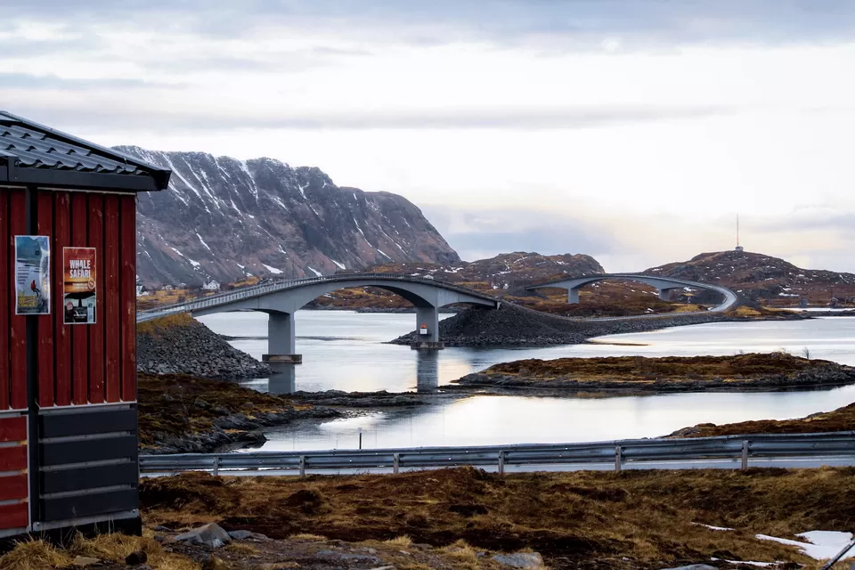 Photo of 8 reasons why the Lofoten Islands should be on your bucket list !! by Nmrtä Patel