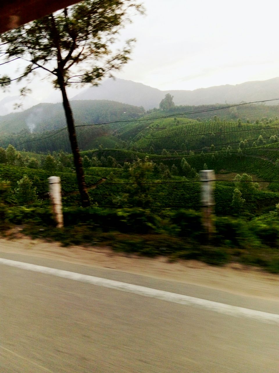 Photo of The Unusual Munnar- Its not only about Tea Plantations by Srishti Dutt