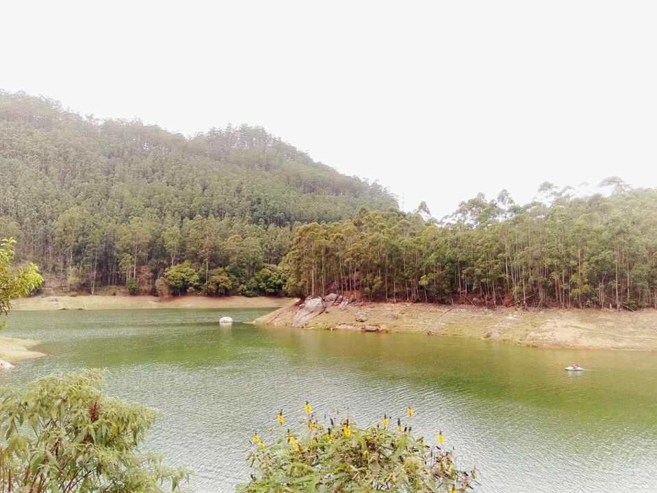 Photo of The Unusual Munnar- Its not only about Tea Plantations by Srishti Dutt