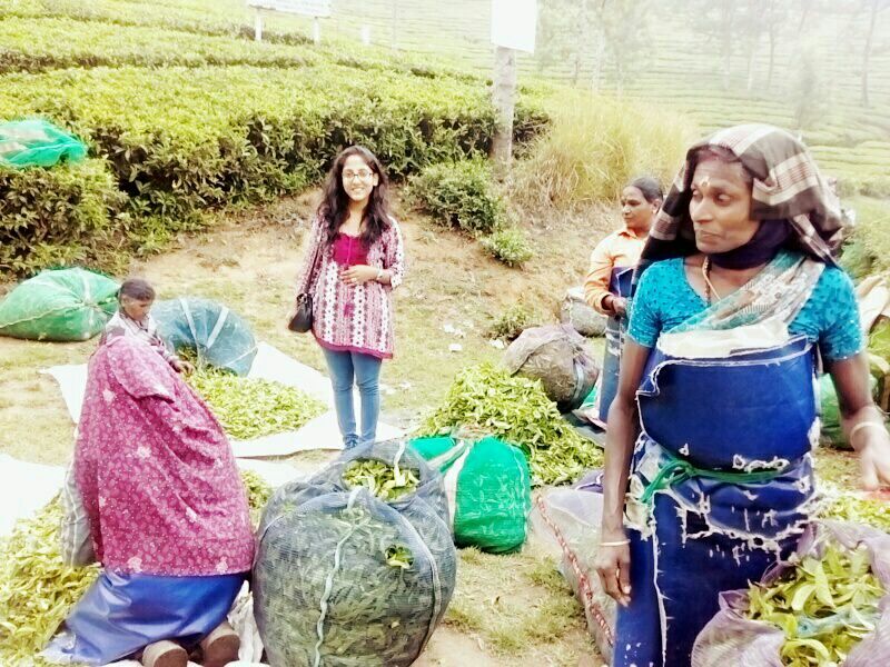 Photo of The Unusual Munnar- Its not only about Tea Plantations by Srishti Dutt