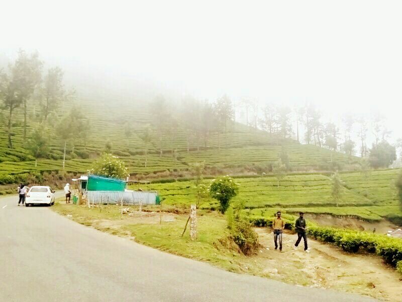 Photo of The Unusual Munnar- Its not only about Tea Plantations by Srishti Dutt
