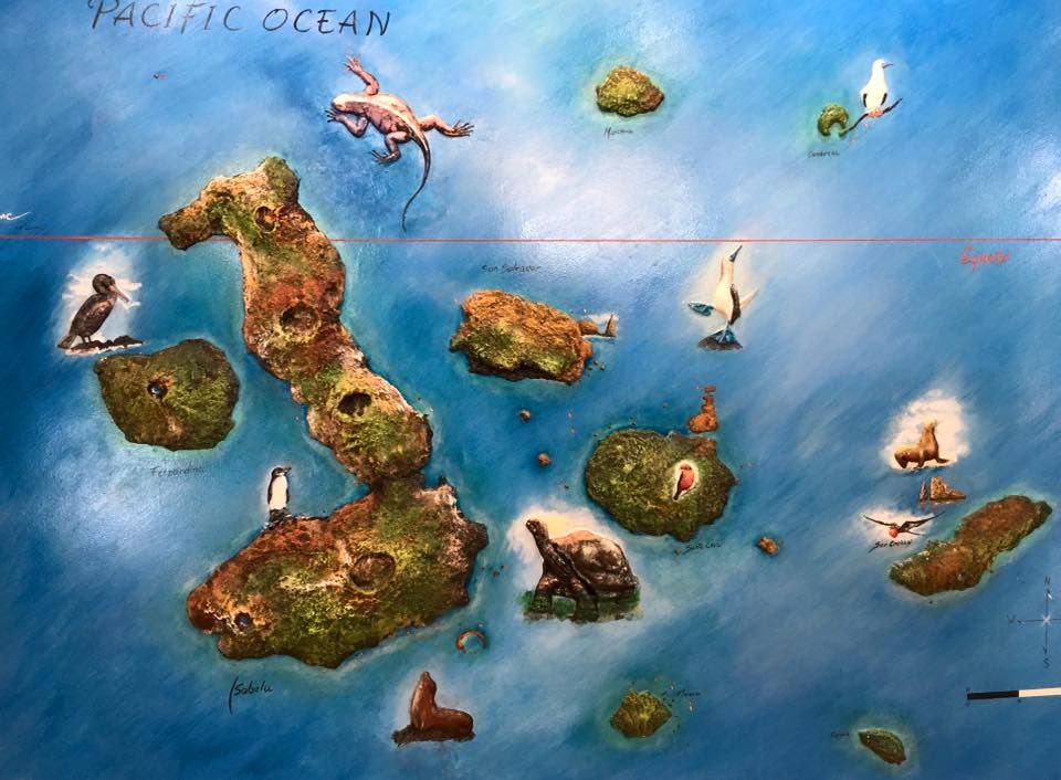 Photo of Galapagos On A Budget 1/7 by Daniel Bok