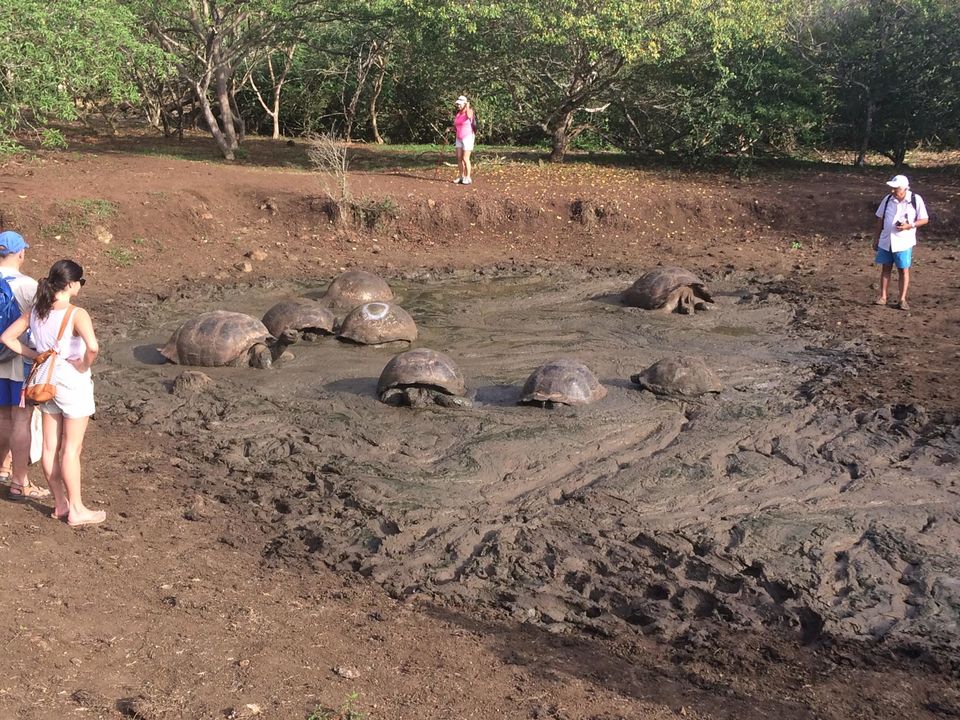 Photo of Galapagos On A Budget 5/7 by Daniel Bok