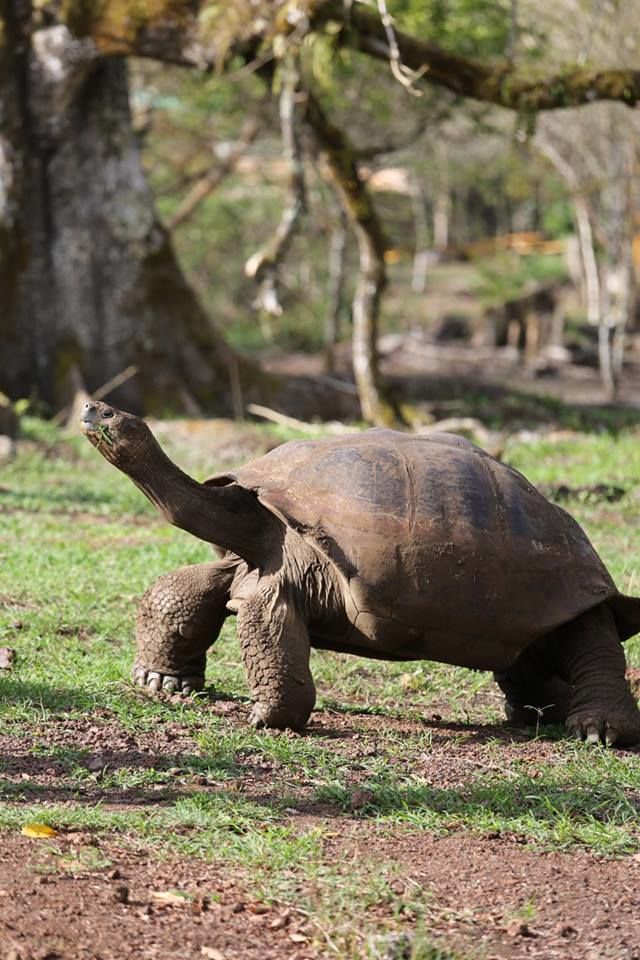 Photo of Galapagos On A Budget 3/7 by Daniel Bok