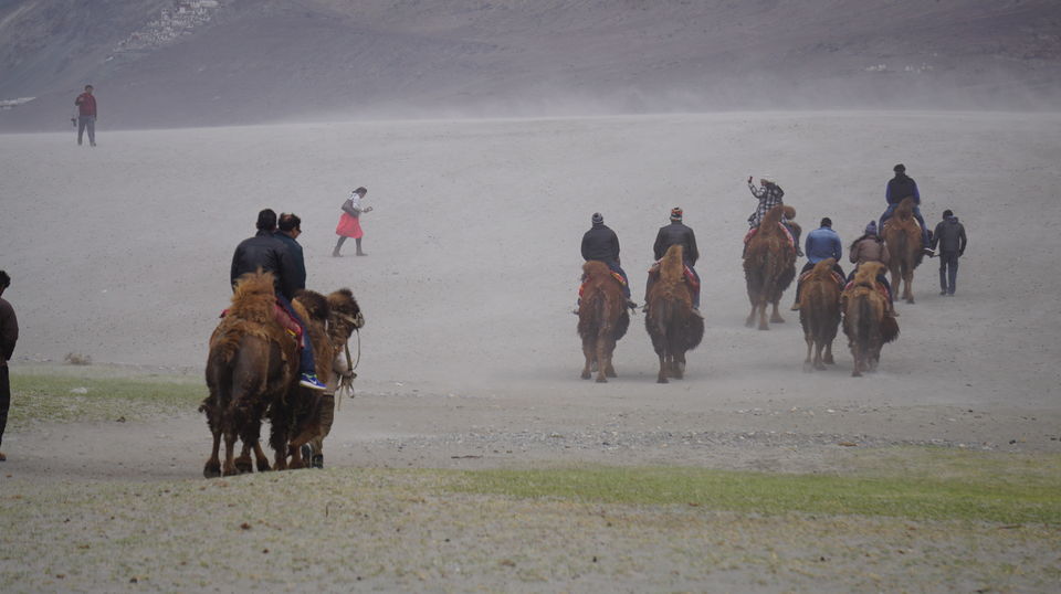 Photo of Nubra Valley: Ladakh's Own Gateway to Beauty and Splendor by Osheen jain