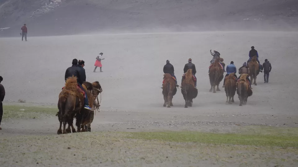 Photo of Nubra Valley: Ladakh's Own Gateway to Beauty and Splendor by Osheen jain