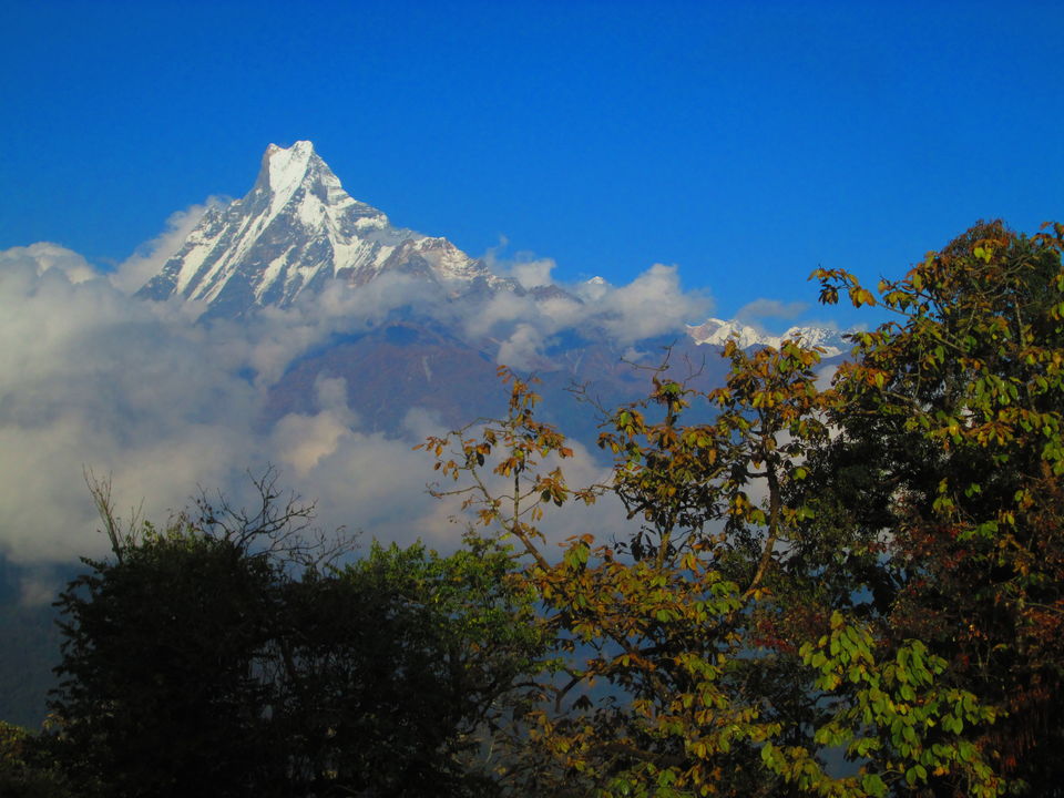 Photo of Ghorepani Poon hill (3210m) trek 1/1 by Suk Bahadur Ghale