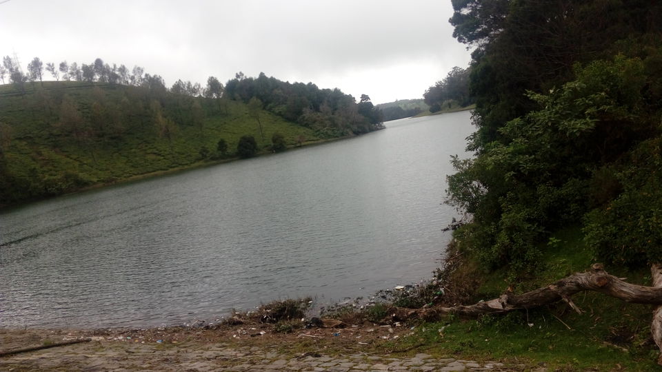Photo of Ooty- Coonoor- The Green Giants! by Footloose Backpackers