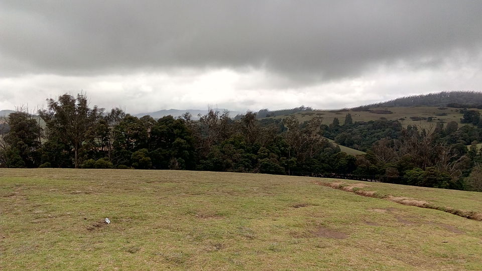 Photo of Ooty- Coonoor- The Green Giants! by Footloose Backpackers