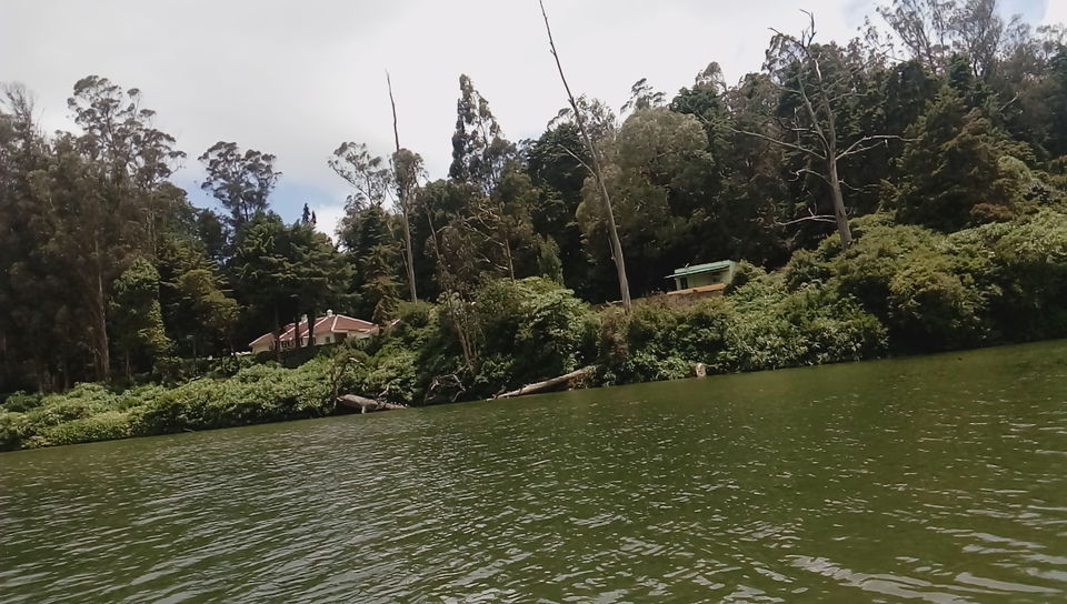 Photo of Ooty, Tamil Nadu, India by Footloose Backpackers