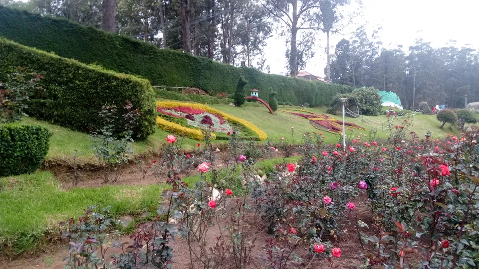 Photo of Rose Garden, Upper Bazaar, Ooty, Tamil Nadu, India by Footloose Backpackers
